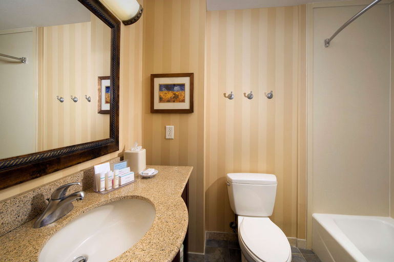 Bathroom 4, Hampton Inn & Suites San Antonio-Airport, Bexar