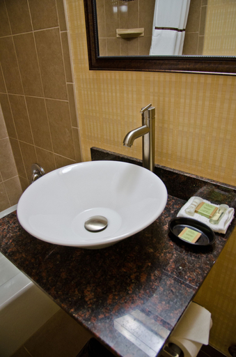 Bathroom 3, AAshram Hotel by Niagara River, Niagara