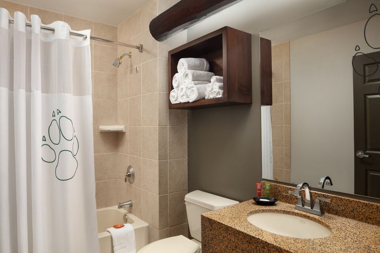 Bathroom 4, Great Wolf Lodge Williamsburg, York