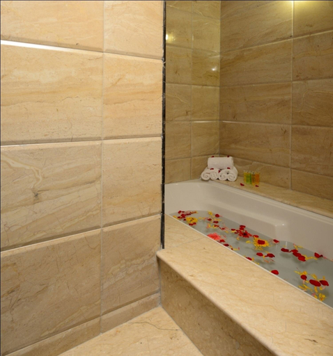 Bathroom 5, The Chariot Resort & Spa, Puri