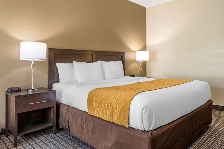 Bedroom 3, Comfort Inn & Suites Cincinnati Uptown Clifton, Cincinnati