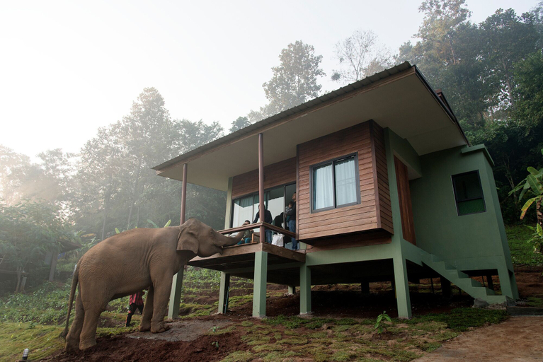 Exterior & Views 3, Chiang Mai Elephant Friends, Mae Wang