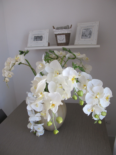 Others 5, Guest House Suite Olbia, Olbia-Tempio