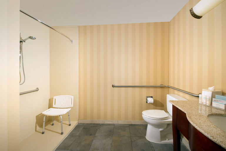 Bathroom 4, Hampton Inn & Suites San Antonio-Airport, Bexar