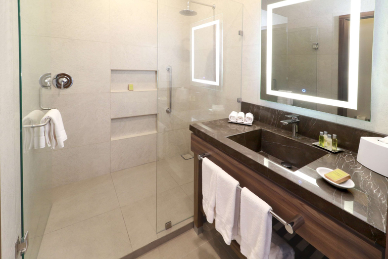 Bathroom 4, Hilton Garden Inn Monterrey Obispado, Monterrey