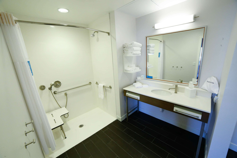 Bathroom 4, Hampton Inn & Suites Forest City, Rutherford