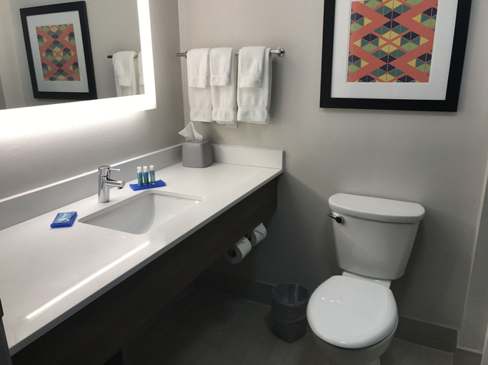 Bathroom 5, Holiday Inn Express NAPLES SOUTH - I-75 by IHG, Collier