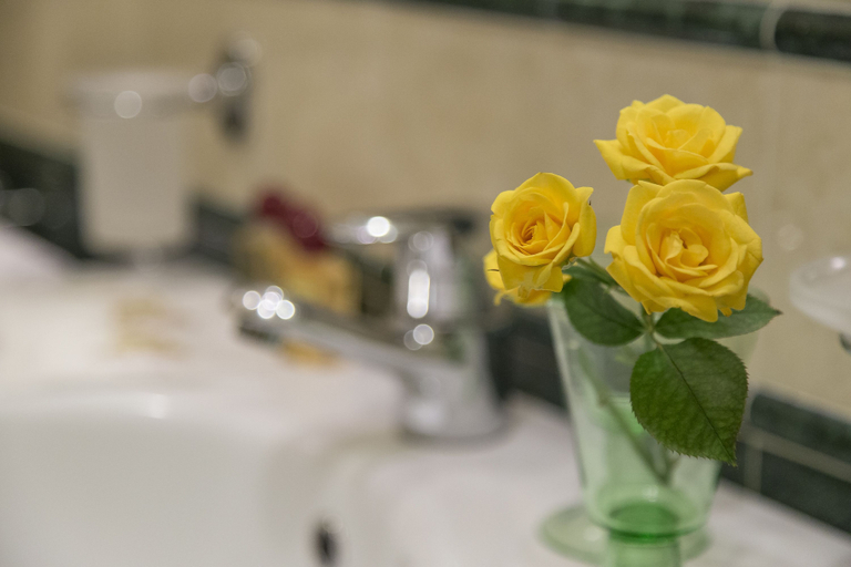 Bathroom 5, Dimora Dogale, Venezia
