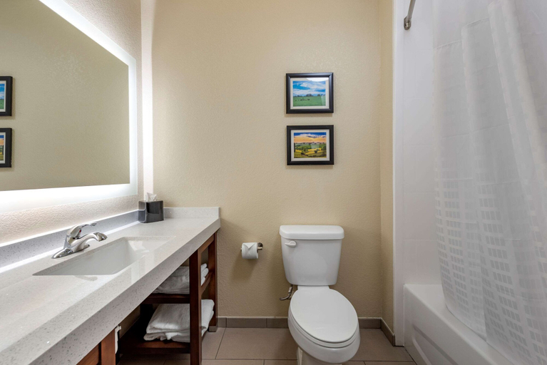 Bathroom 4, Comfort Suites Dry Ridge, Grant