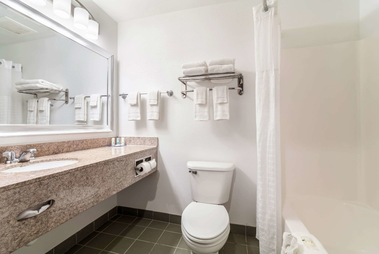 Bathroom 4, Quality Inn & Suites Augusta I-20, Richmond