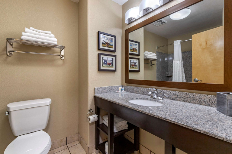 Bathroom 4, Comfort Suites Georgetown, Williamson