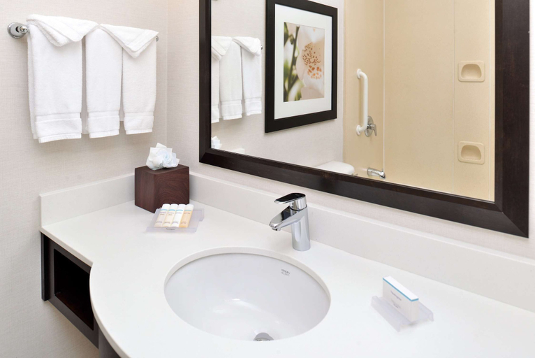 Bathroom 4, Hilton Garden Inn Dallas/Addison, Dallas