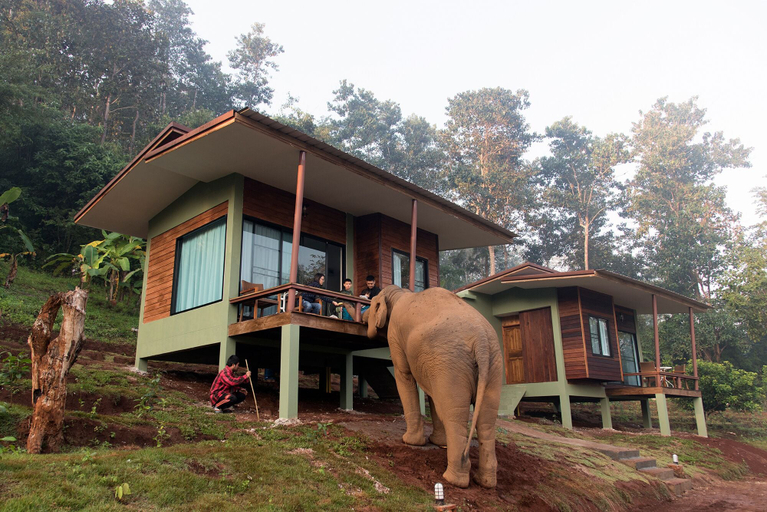 Exterior & Views 2, Chiang Mai Elephant Friends, Mae Wang