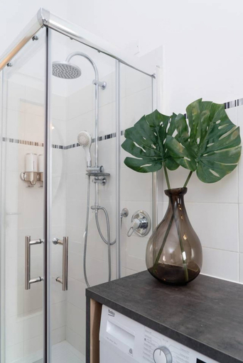 Bathroom shower, Large Apartment near City Center, Milano