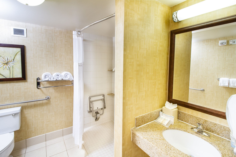 Bathroom 5, Hilton Garden Inn Anderson, Anderson