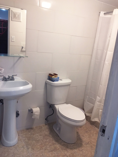 Bathroom, Gladiolas 2102