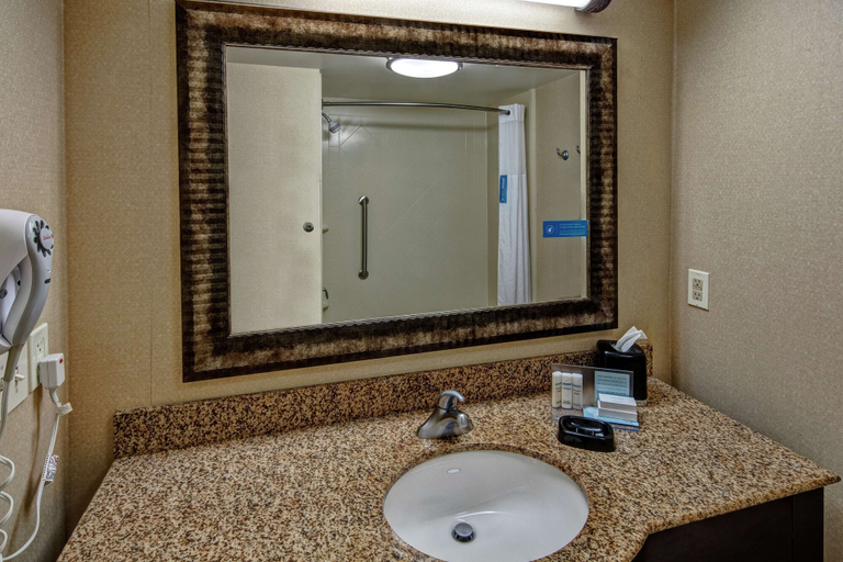 Bathroom 4, Hampton Inn Roanoke Rapids, NC, Halifax