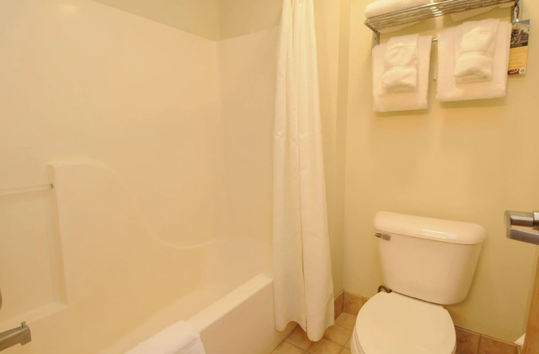 Bathroom 4, Whitewater Inn, Gallatin