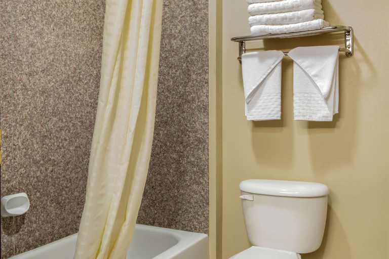 Bathroom 5, Best Western Plus Red River Inn, Donley