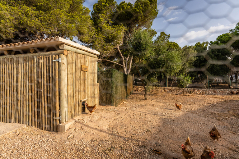 Exterior & Views 2, Lago Resort Menorca - Villas & Bungalows del Lago, Baleares