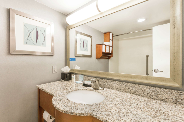 Bathroom 4, Hampton Inn Morehead City, Carteret