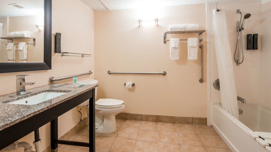 Bathroom 4, Best Western Mulberry Hotel, Polk