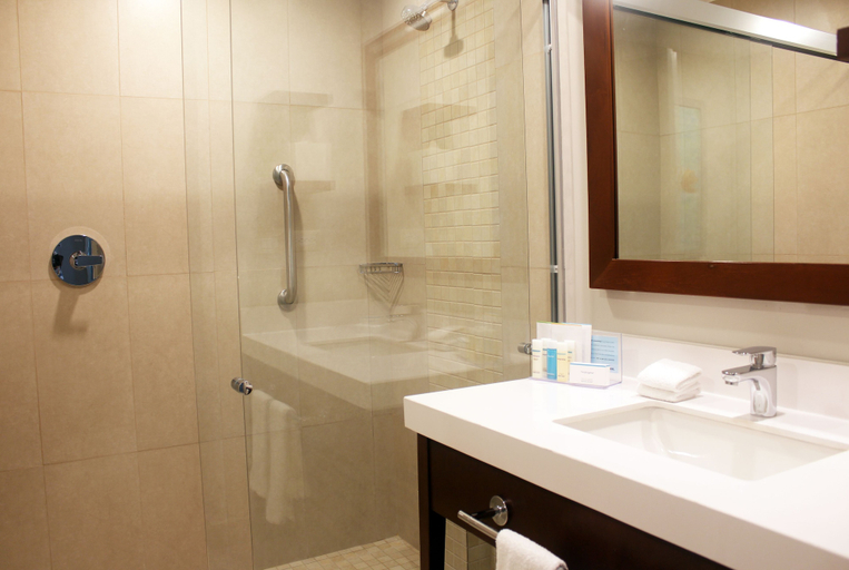 Bathroom 4, Hampton Inn by Hilton Merida, Mérida