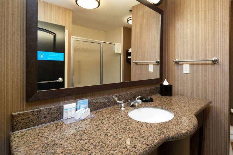 Bathroom 4, Hampton Inn & Suites Longview North, Gregg