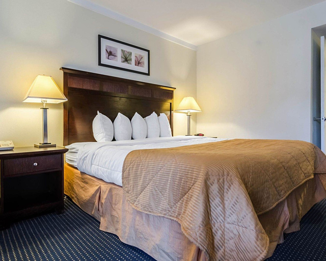 Bedroom 4, Rodeway Inn & Suites Williamsburg Central, Williamsburg