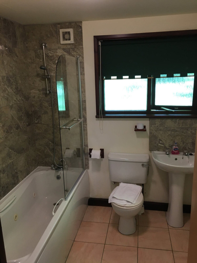 Bathroom, Bluebell 16 with Hot Tub, Carmarthenshire