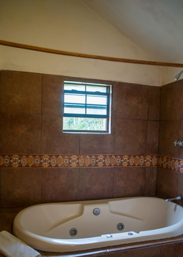 Bathroom 4, Bosques De Monterreal, Arteaga