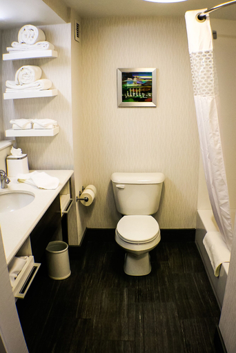 Bathroom 5, Hampton Inn Birmingham/Trussville, Jefferson