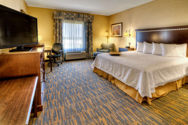 Bedroom 3, Hampton Inn Roanoke Rapids, NC, Halifax