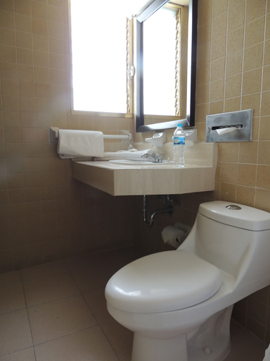 Bathroom 4, Hotel Lizbeth, Tula de Allende