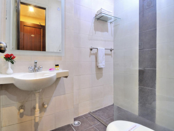 Bathroom 4, Hotel C Park Inn, Delhi