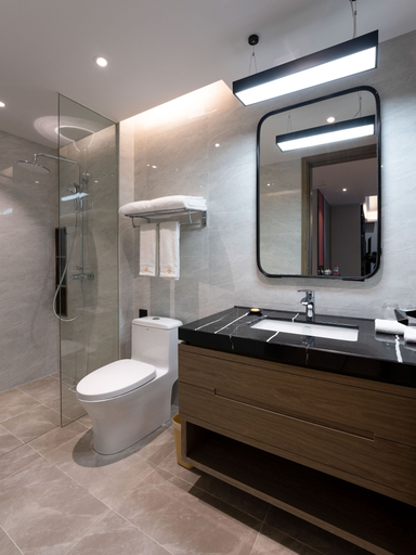 Bathroom 4, ZTL Hotel, Shenzhen
