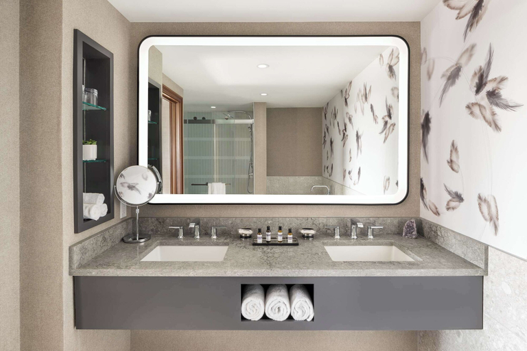 Bathroom 5, Hyatt Regency Coralville Hotel & Conference Center, Johnson