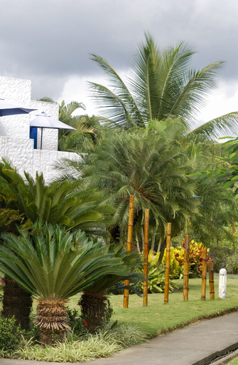 Exterior & Views 2, Green9 Hotel & Beach Resort Same, Atacames