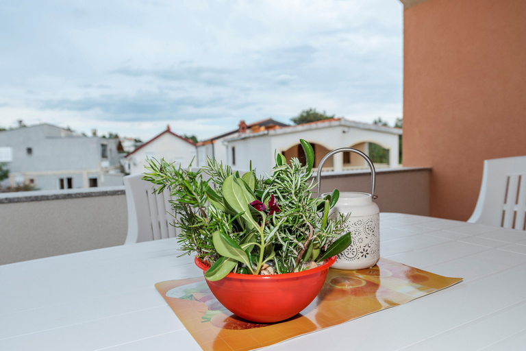 Food & Drinks 4, Apartments Simic, Vir