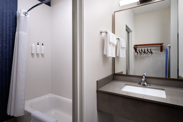 Bathroom 3, Fairfield Inn and Suites by Marriott Austin South, Travis