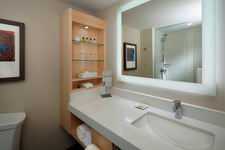 Bathroom 5, Delta Hotels Prince Edward, Queens