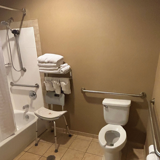 Bathroom 4, Comfort Suites Palestine, Anderson