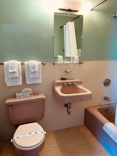 Bathroom, Mollyockett Motel & Swim Spa, Oxford