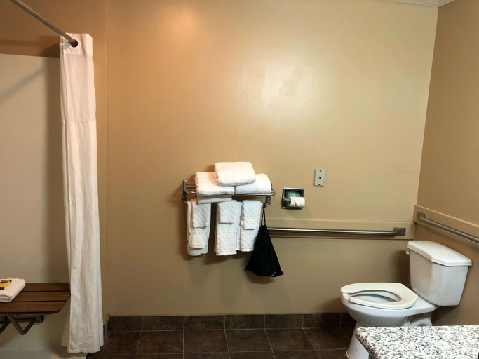 Bathroom 4, Best Western Plus Coldwater Hotel, Branch