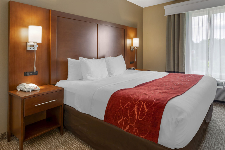 Bedroom 4, Comfort Suites Knoxville North, Knox