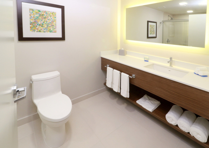 Bathroom 4, Holiday Inn Express & Suites PLAYA DEL CARMEN, Cozumel