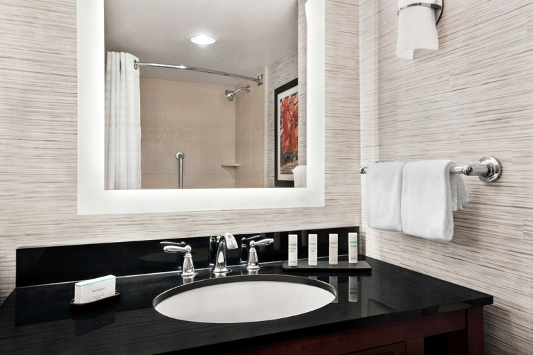 Bathroom 4, Embassy Suites by Hilton Brunswick, Glynn