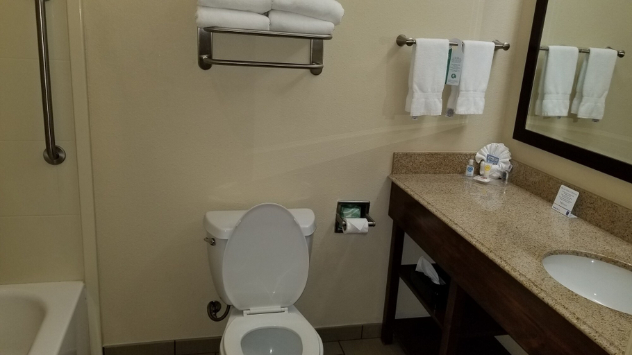 Bathroom 3, Comfort Inn & Suites Lakeside, Maverick