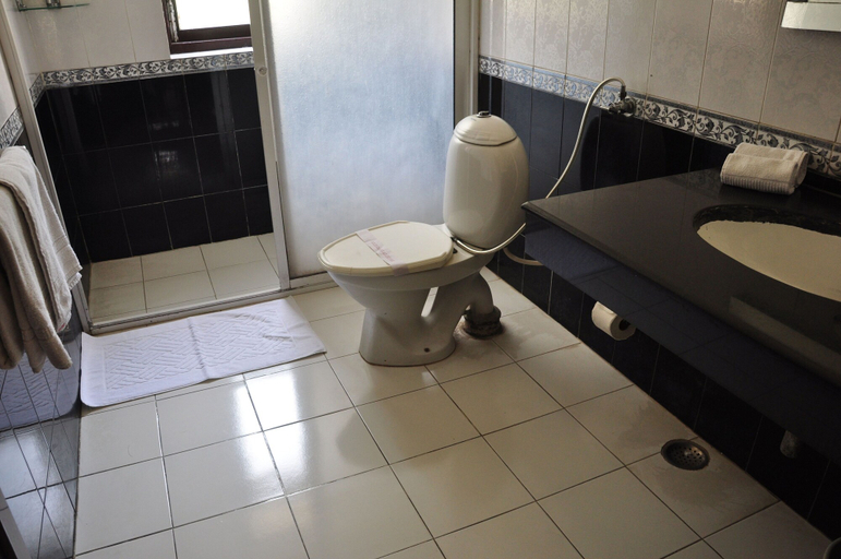 Bathroom 3, Pulse Impulse, Delhi