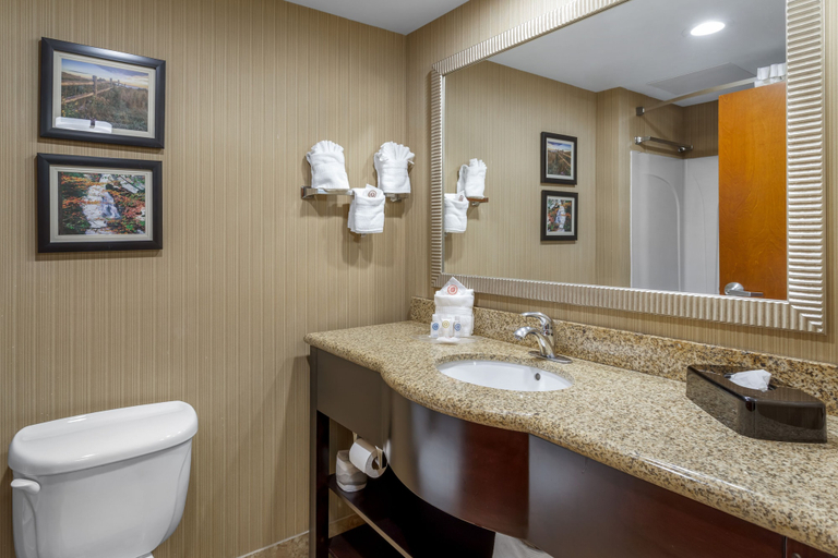 Bathroom 5, Comfort Suites Knoxville North, Knox